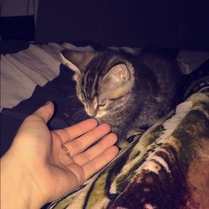 Meet your Posher, Savannah